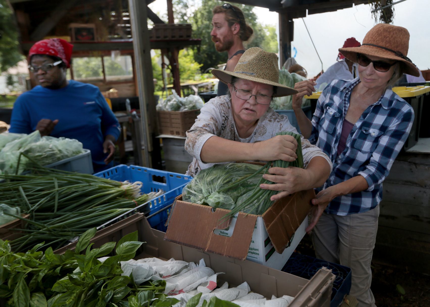 Seeds of Hope Farm in Spanish Lake offers income-tiered CSA shares
